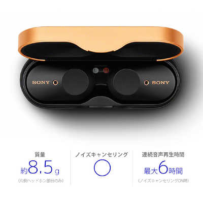 ソニー SONY フルワイヤレスイヤホン ブラック [リモコン・マイク対応 ...