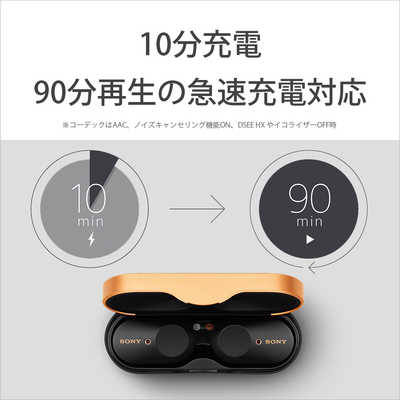 ソニー SONY フルワイヤレスイヤホン ブラック [ リモコン