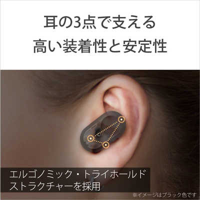 ソニー SONY フルワイヤレスイヤホン ブラック [ リモコン