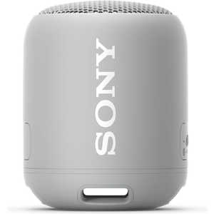ソニー　SONY 【アウトレット】Bluetoothスピーカー 防水  SRS-XB12 HC