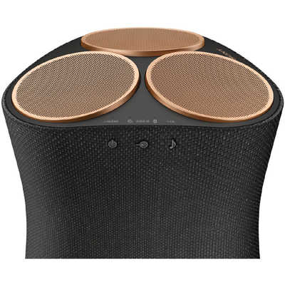 ソニー SONY 【アウトレット】Bluetoothスピーカー ブラック Wi