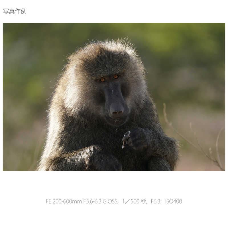 ソニー　SONY ソニー　SONY カメラレンズ FE 200-600mm F5.6-6.3 G OSS SEL200600G FE 200-600mm F5.6-6.3 G OSS SEL200600G