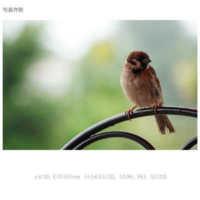 E 70-350mm F4.5-6.3 G OSS SEL70350G