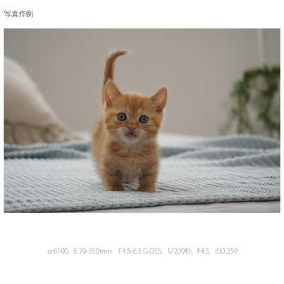 E 70-350mm F4.5-6.3 G OSS SEL70350G