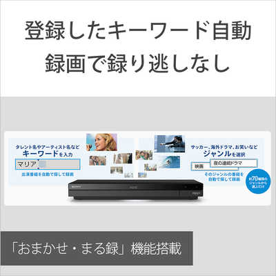 ソニー SONY ブルーレイレコーダー [1TB/2番組同時録画] BDZ-ZW1700 の