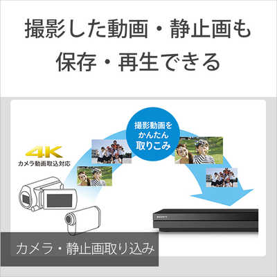 ソニー SONY ブルーレイレコーダー [1TB/2番組同時録画] BDZ