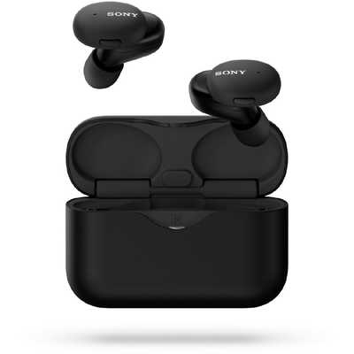 日本最級 ソニー SONY フルワイヤレスイヤホン[マイク対応] WF-H800 BM ヘッドホン