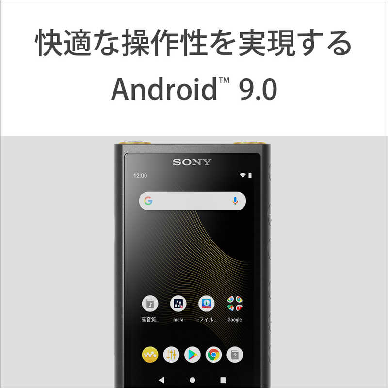 ソニー　SONY ソニー　SONY ハイレゾウォークマン ZX500シリーズ [64GB/イヤホン無し] NW-ZX507 B ブラック NW-ZX507 B ブラック