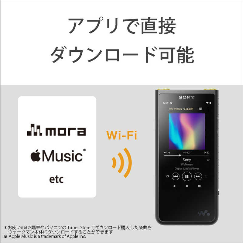 ソニー　SONY ソニー　SONY ハイレゾウォークマン ZX500シリーズ [64GB/イヤホン無し] NW-ZX507 B ブラック NW-ZX507 B ブラック