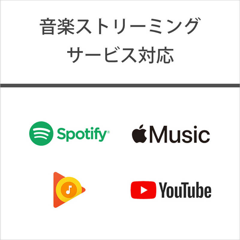 ソニー　SONY ソニー　SONY ハイレゾウォークマン A100シリーズ [16GB/イヤホン無し] NW-A105 B ブラック NW-A105 B ブラック