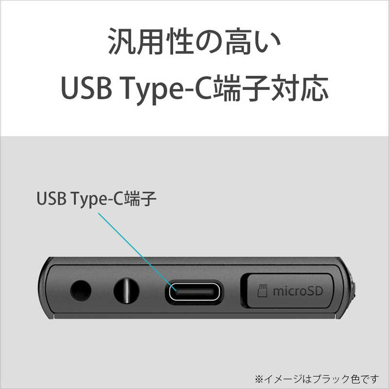 ソニー　SONY ソニー　SONY ハイレゾウォークマン A100シリーズ [16GB/イヤホン無し] NW-A105 B ブラック NW-A105 B ブラック