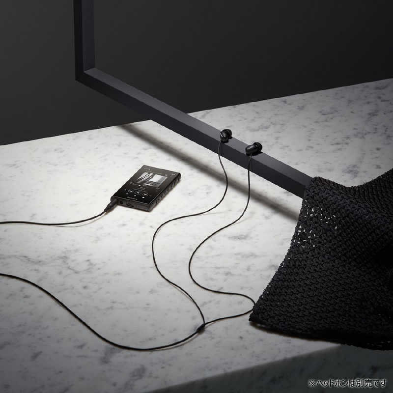 ソニー　SONY ソニー　SONY ハイレゾウォークマン A100シリーズ [16GB/イヤホン無し] NW-A105 B ブラック NW-A105 B ブラック