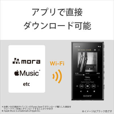 SONY WALKMAN  ソニーウォークマン WALKMAN NW-A105