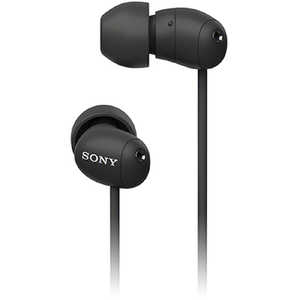 ソニー　SONY ハイレゾ有線イヤホン IER-NW510N ブラック
