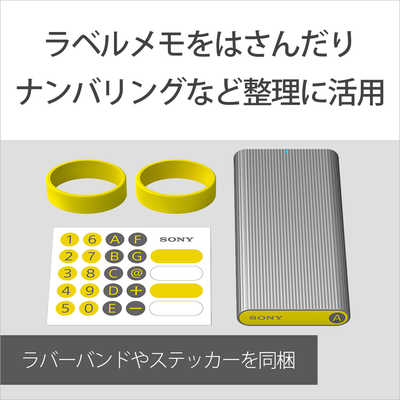 SONY(ソニー) SL-M1 [シルバー]