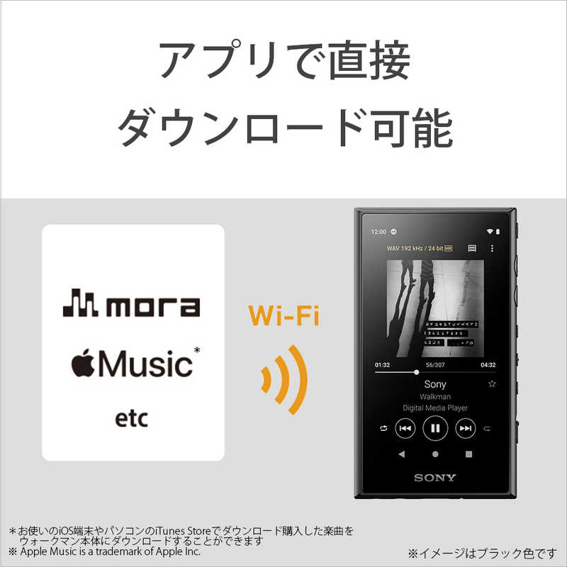 絶妙なデザイン NW-A105HN 付属品多数 美品 SONY イヤホン付き