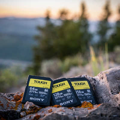 ソニー SONY SDXCカード TOUGH(タフ) SF-Mシリーズ (256GB) SF-M256T