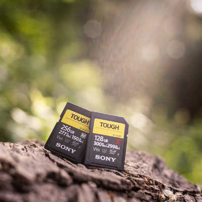 ソニー SONY SDXCカード TOUGH(タフ) SF-Mシリーズ (256GB) SF