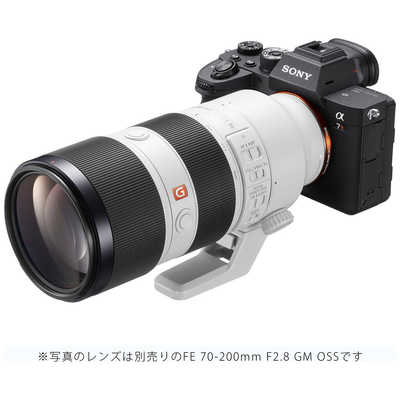 ソニー SONY ミラーレス一眼カメラ ボディ単体 ILCE-7RM4 の通販