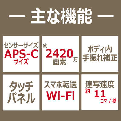 ソニー SONY ミラーレス一眼カメラ α6600 ボディ ILCE-6600 の ソニー SONY ミラーレス一眼カメラ α6600 ボディ ILCE-6600 の