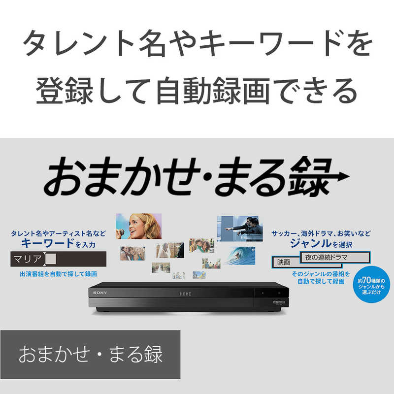 ソニー　SONY ソニー　SONY 【アウトレット】ブルーレイレコーダー 2TB 3番組同時録画 4Kチューナー内蔵 BDZ-FBT2100 BDZ-FBT2100