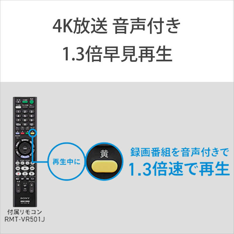 ソニー　SONY ソニー　SONY 【アウトレット】ブルーレイレコーダー 2TB 3番組同時録画 4Kチューナー内蔵 BDZ-FBT2100 BDZ-FBT2100