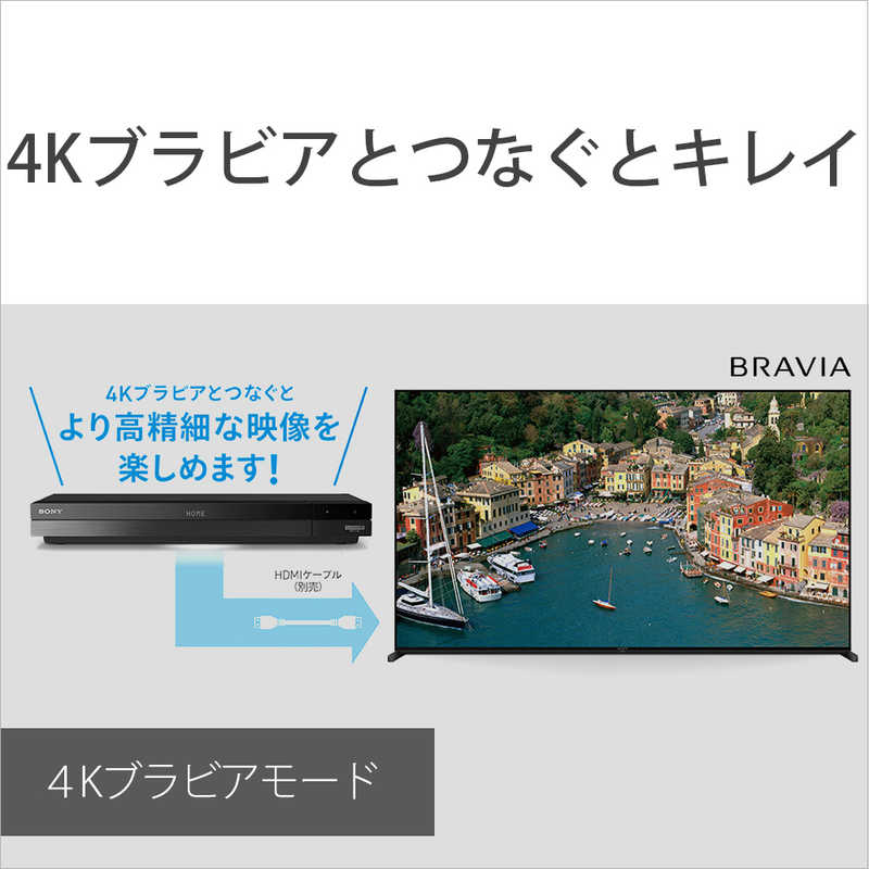 ソニー　SONY ソニー　SONY 【アウトレット】ブルーレイレコーダー 2TB 3番組同時録画 4Kチューナー内蔵 BDZ-FBT2100 BDZ-FBT2100