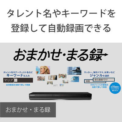 SONY ソニー　ブルーレイレコーダー　1TB 2番組同時録画