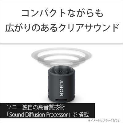 ソニー SONY ブルートゥーススピーカー ブラック [防水 /Bluetooth対応