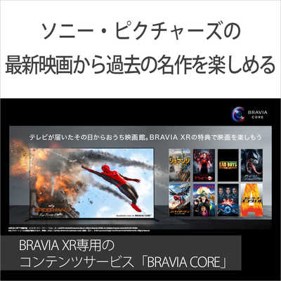 ソニー SONY BRAVIA (ブラビア) 液晶テレビ 50V型 4Kチューナー内蔵