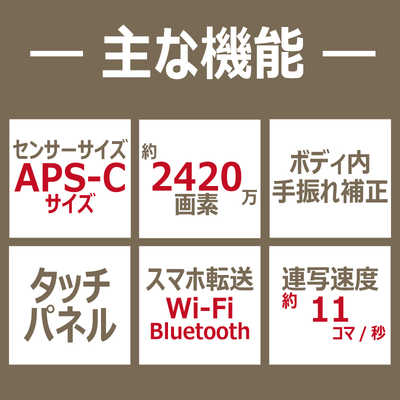 ソニー SONY ミラーレス一眼カメラ VLOGCAM ZV-E10 ボディ ブラック の