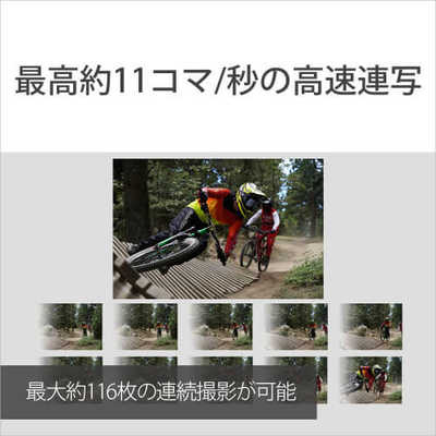 ソニー SONY ミラーレス一眼カメラ VLOGCAM ZV-E10 ボディ ブラック の