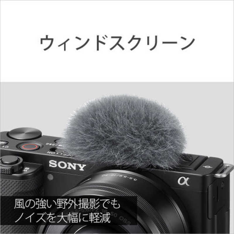 ソニー　SONY ソニー　SONY ミラーレス一眼カメラ(レンズキット)ブラック ZV-E10LBC ZV-E10LBC