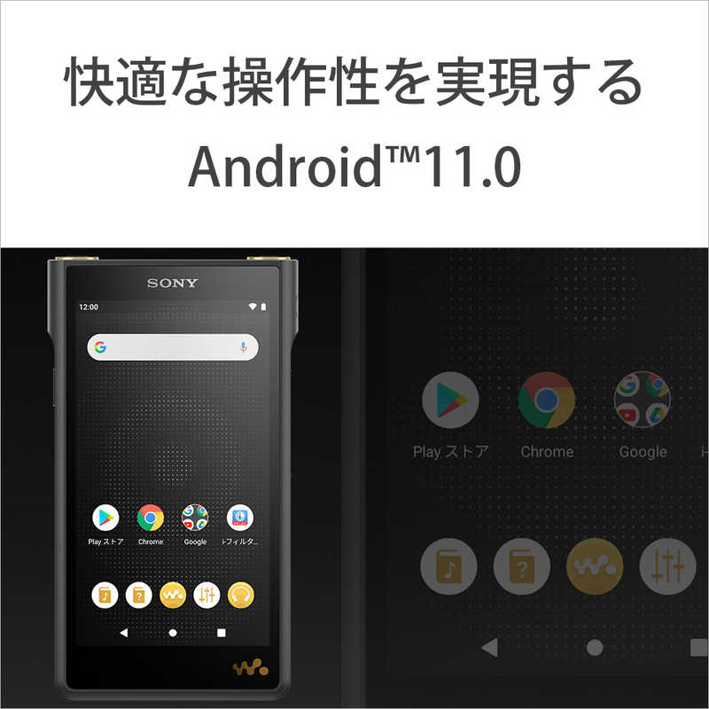 ソニー　SONY ソニー　SONY ウォークマンWM1シリーズ  ブラック [ハイレゾ対応/128GB] NW-WM1AM2 NW-WM1AM2