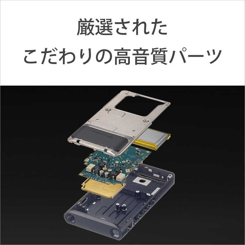 ソニー　SONY ソニー　SONY ウォークマンWM1シリーズ  ブラック [ハイレゾ対応/128GB] NW-WM1AM2 NW-WM1AM2