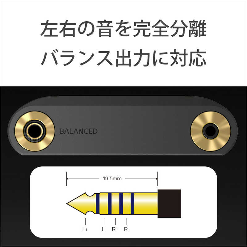 ソニー　SONY ソニー　SONY ウォークマンWM1シリーズ  ブラック [ハイレゾ対応/128GB] NW-WM1AM2 NW-WM1AM2