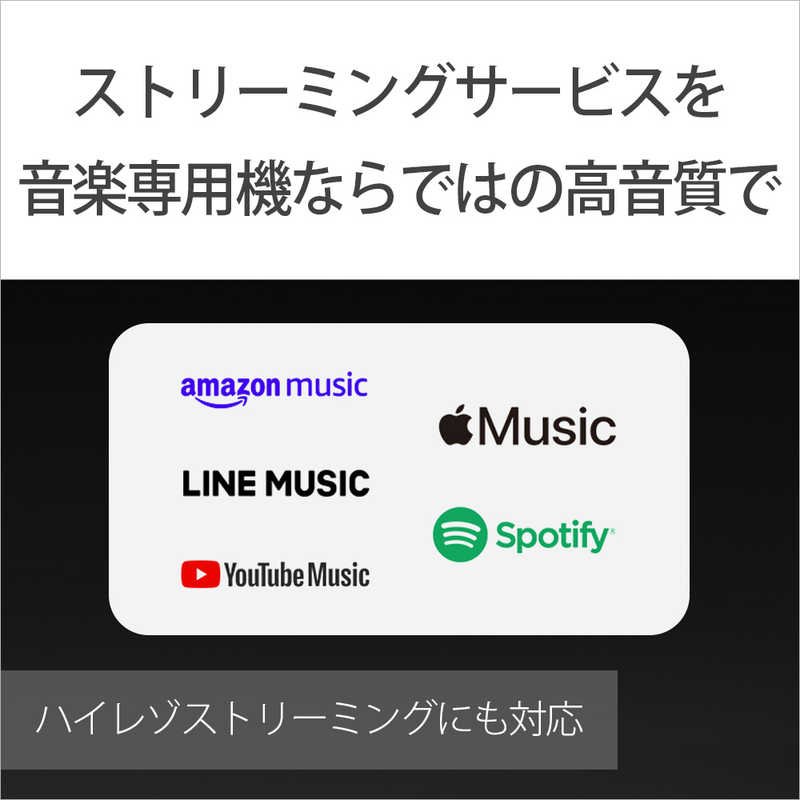 ソニー SONY ウォークマンWM1シリーズ ブラック [ハイレゾ対応/128GB] NW-WM1AM2 の通販 |  カテゴリ：オーディオ・ヘッドホン・楽器 | ソニー SONY 家電通販のコジマネット - 全品代引き手数料無料