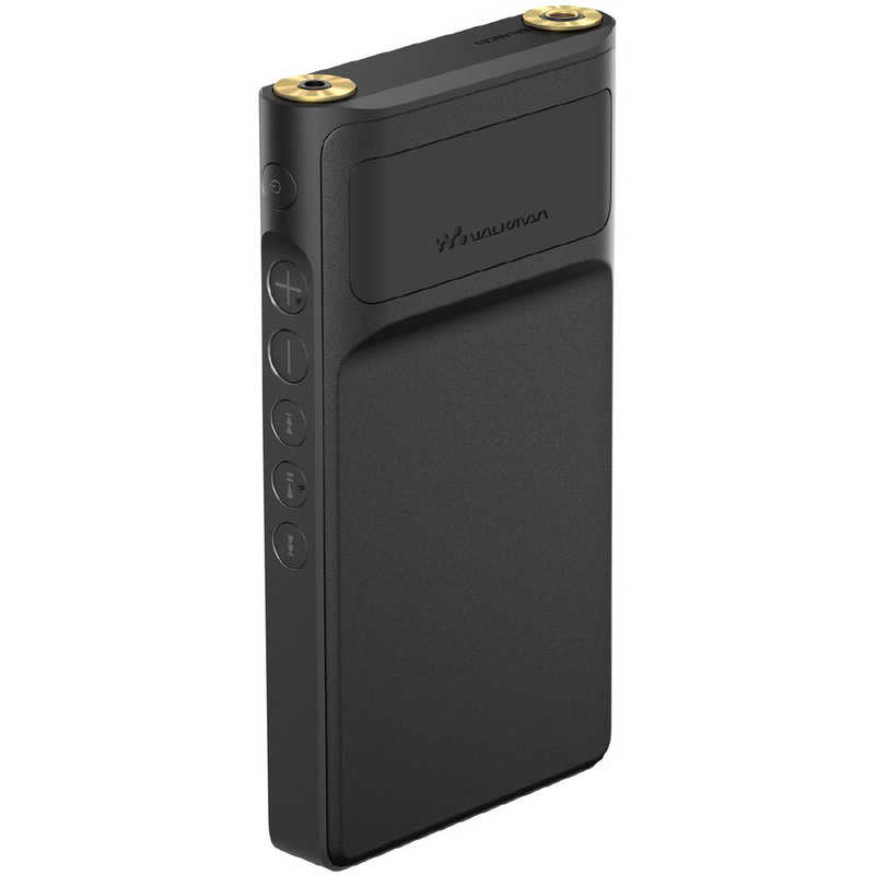 ソニー　SONY ソニー　SONY ウォークマンWM1シリーズ  ブラック [ハイレゾ対応/128GB] NW-WM1AM2 NW-WM1AM2
