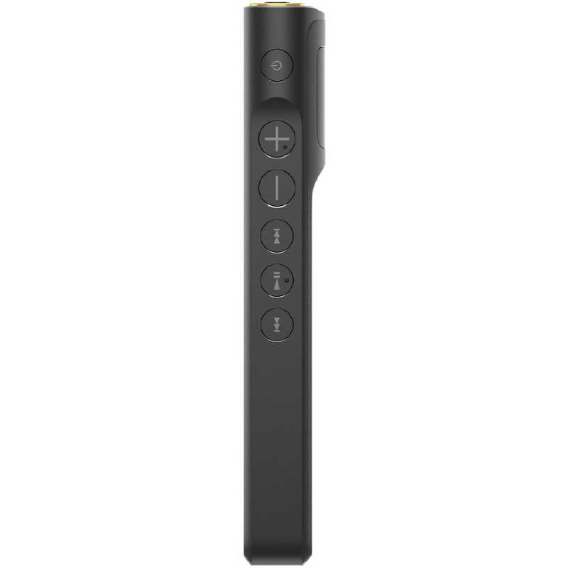 ソニー　SONY ソニー　SONY ウォークマンWM1シリーズ  ブラック [ハイレゾ対応/128GB] NW-WM1AM2 NW-WM1AM2