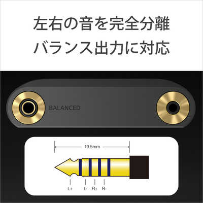 ソニー SONY ウォークマンWM1シリーズ ブラック [ハイレゾ対応/128GB  