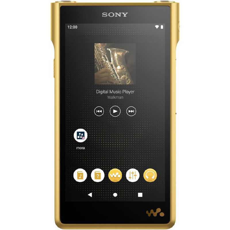 ソニー　SONY ソニー　SONY ウォークマンWM1シリーズ ゴールド [ハイレゾ対応/256GB] NW-WM1ZM2 NW-WM1ZM2
