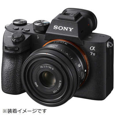 レンズ(単焦点) SONY FE50mm F2.5 G (SEL50F25G) 単焦点レンズ SONY FE 50mm F2.5 G レビュー。 さすがGレンズ