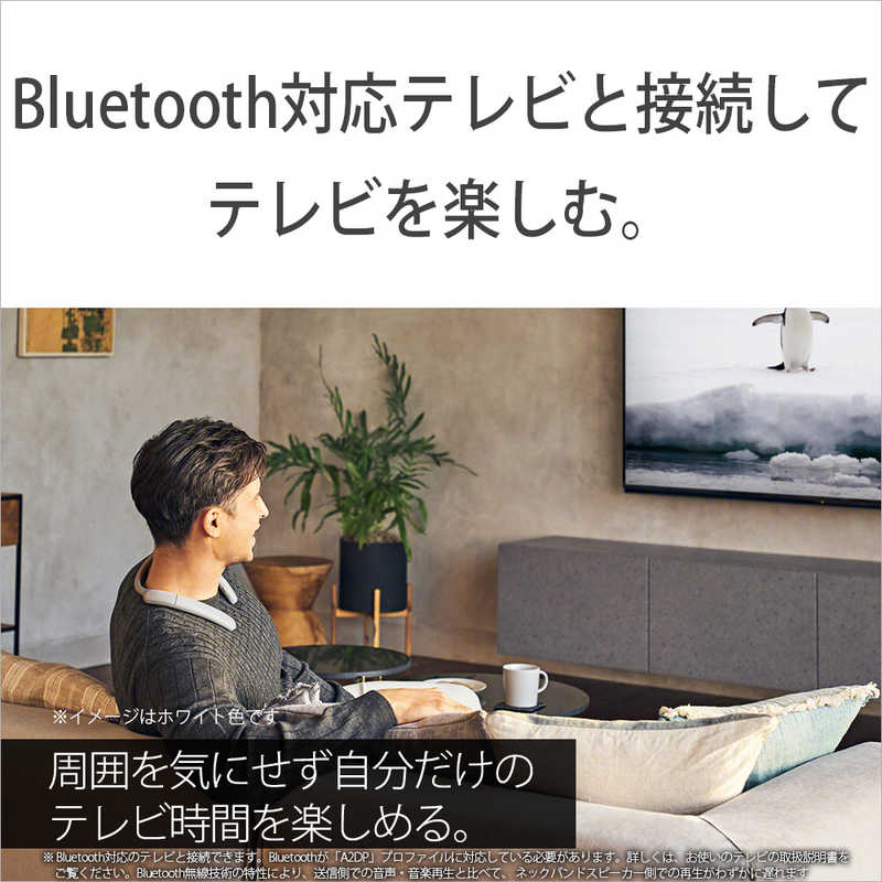 ソニー　SONY ソニー　SONY ワイヤレスネックスピーカー　チャコールグレー  [防滴 /Bluetooth対応] SRS-NB10HC SRS-NB10HC