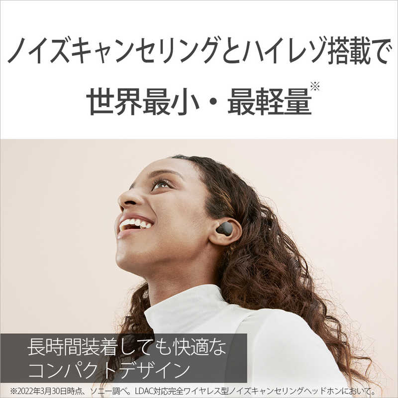 ソニー　SONY ソニー　SONY フルワイヤレスイヤホン [ NiziU CM 出演 ] ノイズキャンセリング対応 リモコン･マイク対応 LinkBuds S ブラック WF-LS900N BC WF-LS900N BC