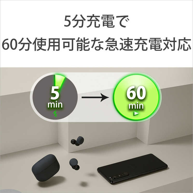 ソニー　SONY ソニー　SONY フルワイヤレスイヤホン [ NiziU CM 出演 ] ノイズキャンセリング対応 リモコン･マイク対応 LinkBuds S ブラック WF-LS900N BC WF-LS900N BC