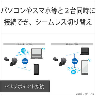 ソニー SONY フルワイヤレスイヤホン WF-LS900N LinkBuds S ブラック
