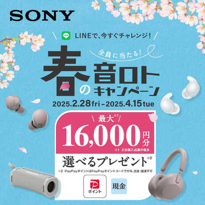 SONY ワイヤレス ゲーミングヘッドセット WH-G900N(W)