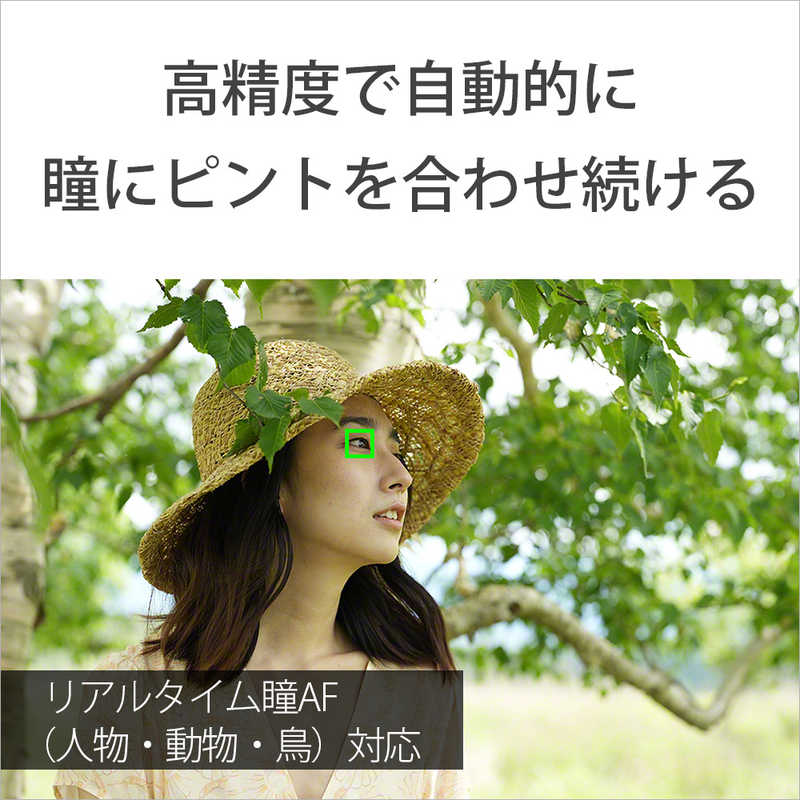ソニー　SONY ソニー　SONY ミラーレス一眼カメラ α7IV ボディ ILCE-7M4 α7IV ボディ ILCE-7M4