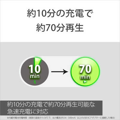 SONY XE200 ワイヤレススピーカー グレー SONY XE200 ワイヤレススピーカー ライトグレー SONY ワイヤレス