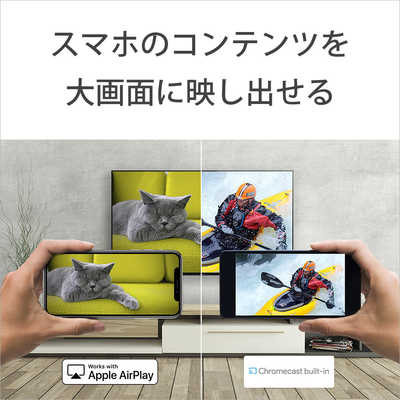 SONY 50インチモニター　AirPlay対応　Android TV搭載 SONY 50インチモニター AirPlay対応 Android TV搭載 SONY 50インチ